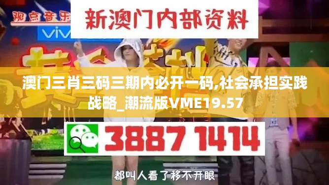 澳门三肖三码三期内必开一码,社会承担实践战略_潮流版VME19.57