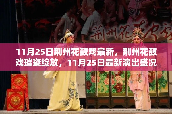 荆州花鼓戏璀璨绽放，最新演出盛况揭秘（11月25日）