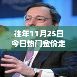 往年11月25日黄金价格走势解析，专业分析、用户体验与热门金价走势图评测报告