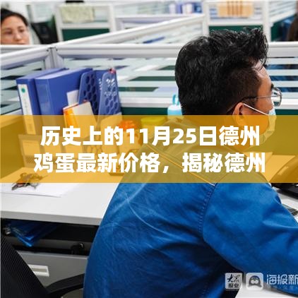 德州鸡蛋最新价格走势，历史上的11月25日分析查询与揭秘指南