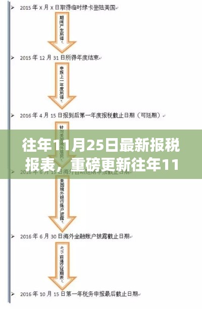 重磅揭秘，往年11月25日最新报税报表深度解析与财务指南全攻略！