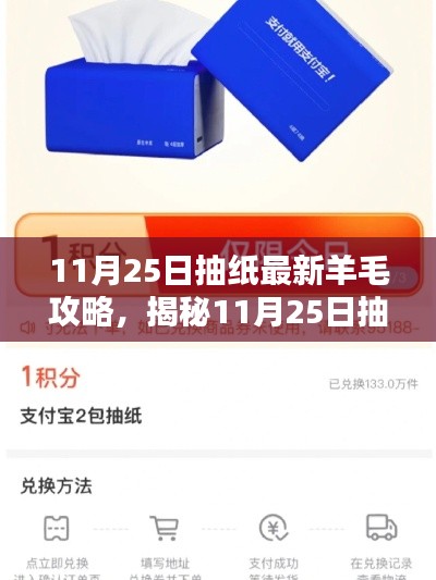 11月25日抽纸最新羊毛攻略，揭秘11月25日抽纸羊毛攻略，最新攻略助你轻松掌握抽奖技巧
