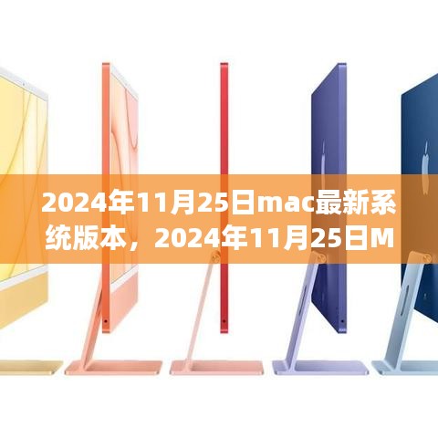 2024年11月25日Mac最新系统版本详解，全新体验与独特功能