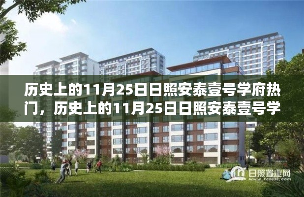 历史上的11月25日日照安泰壹号学府热门活动，初学者与进阶者的完全攻略指南