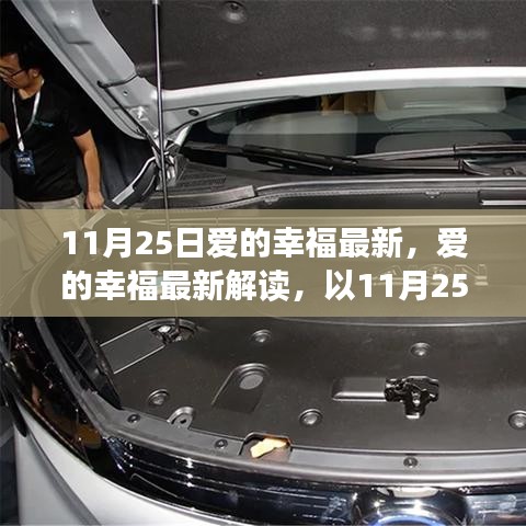 以11月25日为界，爱的幸福最新解读与观点探索