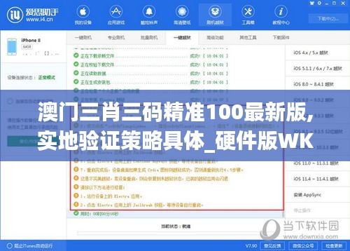 澳门三肖三码精准100最新版,实地验证策略具体_硬件版WKC14.24