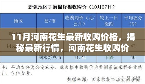 揭秘河南花生最新收购行情，十一月市场动态一网打尽！