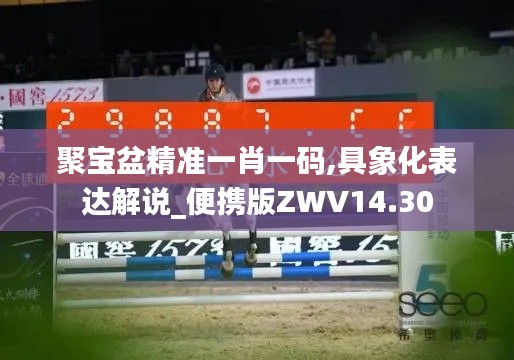 聚宝盆精准一肖一码,具象化表达解说_便携版ZWV14.30