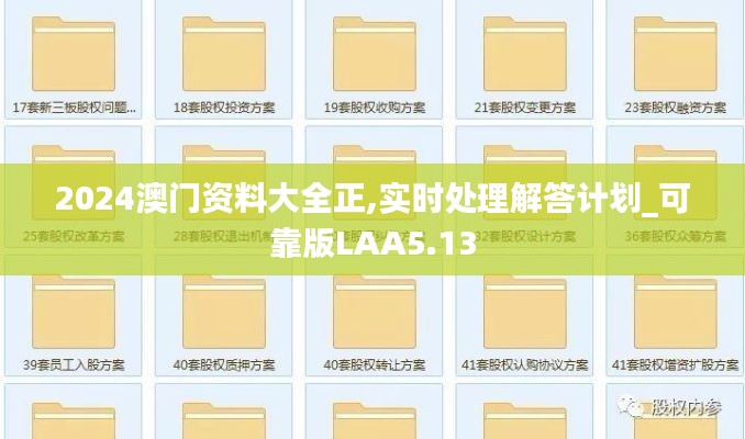 2024澳门资料大全正,实时处理解答计划_可靠版LAA5.13