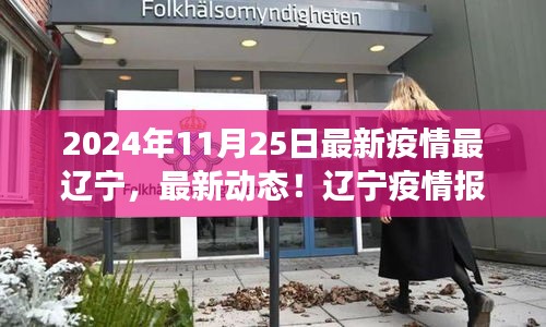 辽宁疫情报告，最新动态解读与数据概览（2024年11月25日）