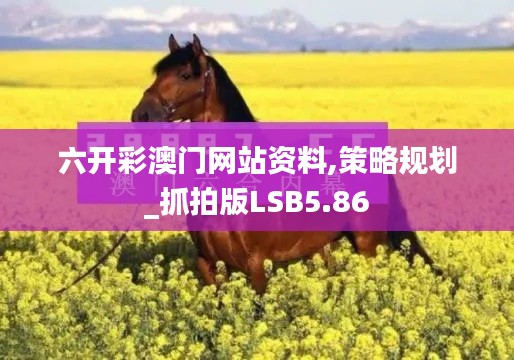 六开彩澳门网站资料,策略规划_抓拍版LSB5.86