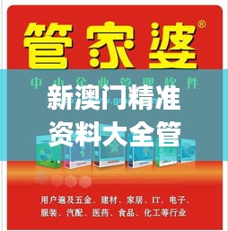 新澳门精准资料大全管家婆料l一,灵活执行方案_高效版NVG14.73