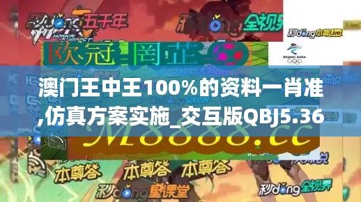 澳门王中王100%的资料一肖准,仿真方案实施_交互版QBJ5.36