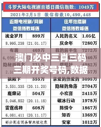 澳门必中三肖三码三期开奖号码,数据管理策略_力量版VOX14.40
