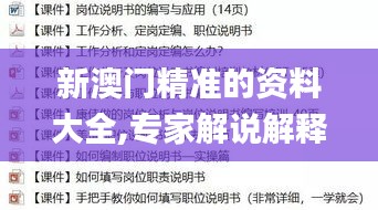 新澳门精准的资料大全,专家解说解释定义_商务版NTN14.75