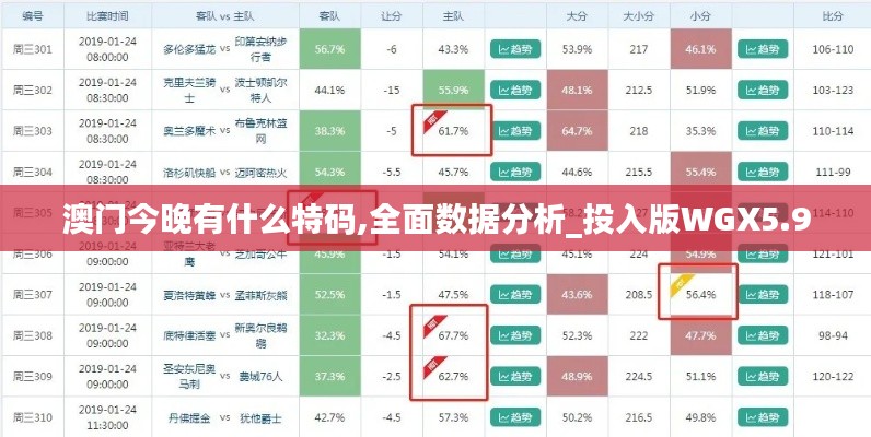澳门今晚有什么特码,全面数据分析_投入版WGX5.9