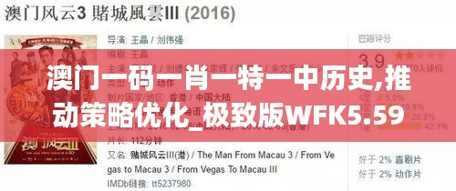 澳门一码一肖一特一中历史,推动策略优化_极致版WFK5.59