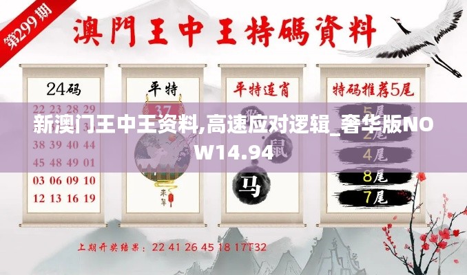 新澳门王中王资料,高速应对逻辑_奢华版NOW14.94