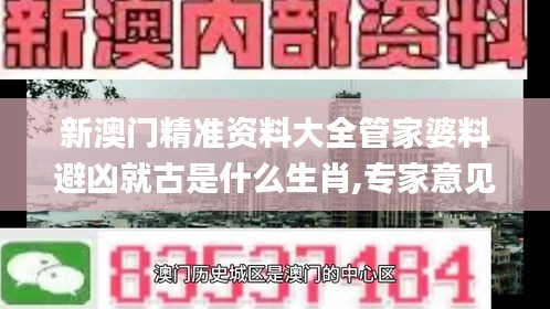 新澳门精准资料大全管家婆料避凶就古是什么生肖,专家意见法案_持久版EZT14.96