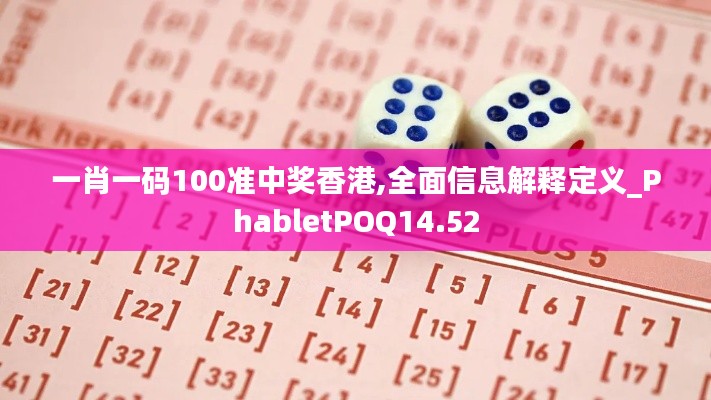 一肖一码100准中奖香港,全面信息解释定义_PhabletPOQ14.52