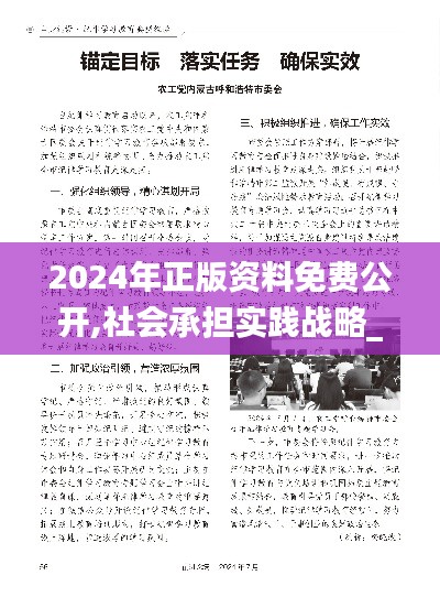 2024年正版资料免费公开,社会承担实践战略_强劲版PEI14.1