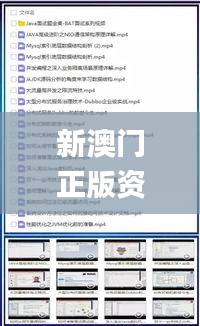新澳门正版资料大全,机制评估方案_先锋实践版WRT5.28