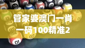 管家婆澳门一肖一码100精准2023,决策支持方案_L版QUM14.22