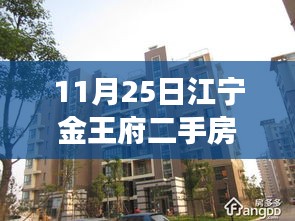 揭秘江宁金王府二手房市场繁荣背后的独特魅力与影响力，热门房源背后的故事揭晓！