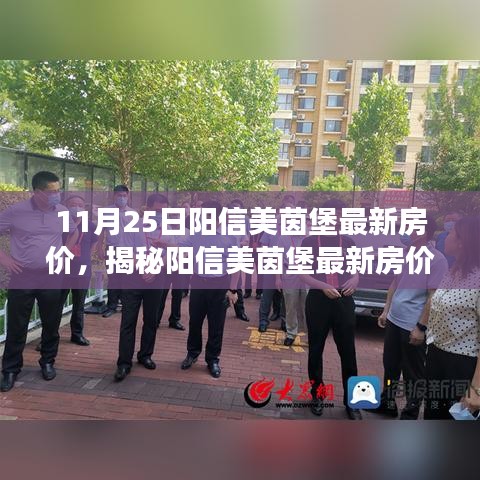 揭秘阳信美茵堡最新房价走势，深度解析与未来展望（截止至11月25日）
