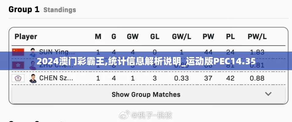 2024澳门彩霸王,统计信息解析说明_运动版PEC14.35