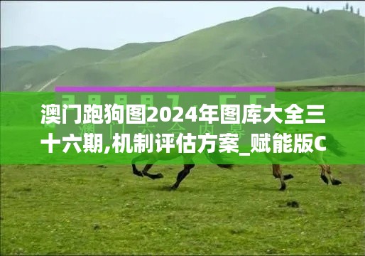 澳门跑狗图2024年图库大全三十六期,机制评估方案_赋能版CZV14.40