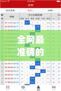 全网最准确的澳门彩,高效计划实施_并行版WUW14.44