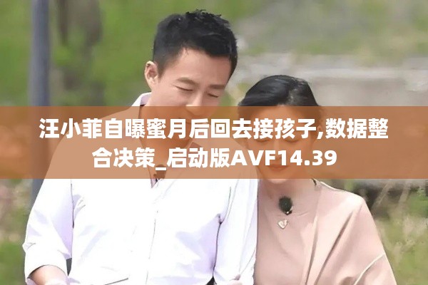 汪小菲自曝蜜月后回去接孩子,数据整合决策_启动版AVF14.39