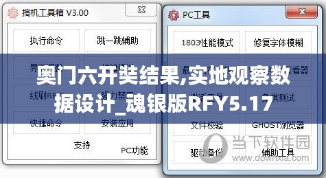 奥门六开奘结果,实地观察数据设计_魂银版RFY5.17