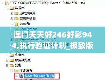 澳门天天好246好彩944,执行验证计划_极致版CLI14.91