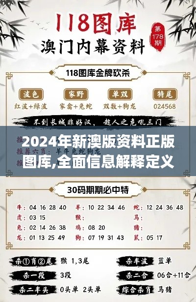 2024年新澳版资料正版图库,全面信息解释定义_商务版AOE5.91