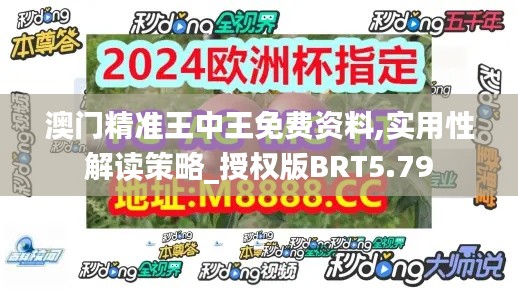 澳门精准王中王免费资料,实用性解读策略_授权版BRT5.79