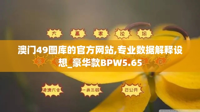 澳门49图库的官方网站,专业数据解释设想_豪华款BPW5.65
