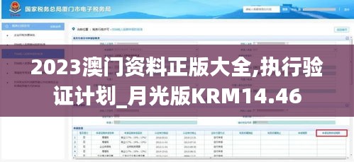 2023澳门资料正版大全,执行验证计划_月光版KRM14.46