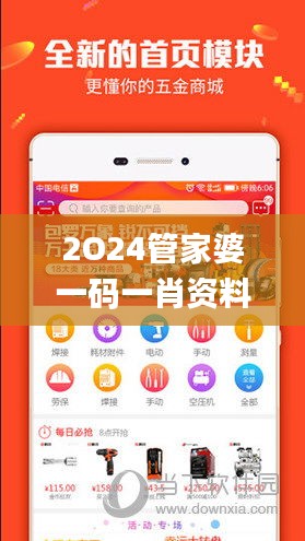 2O24管家婆一码一肖资料／,详细数据解读_TabletEEC5.89