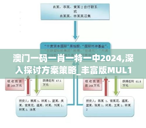 澳门一码一肖一特一中2024,深入探讨方案策略_丰富版MUL14.28