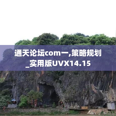 通天论坛com一,策略规划_实用版UVX14.15