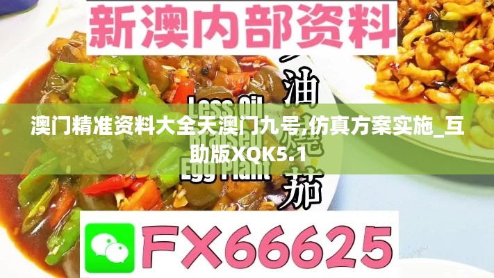 澳门精准资料大全天澳门九号,仿真方案实施_互助版XQK5.1