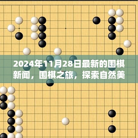 围棋新闻揭秘，探索自然美景与心灵宁静的围棋之旅——最新报道（2024年11月28日）