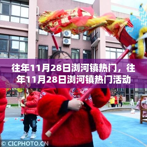 往年11月28日浏河镇热门活动回顾，探寻独特魅力与精彩瞬间