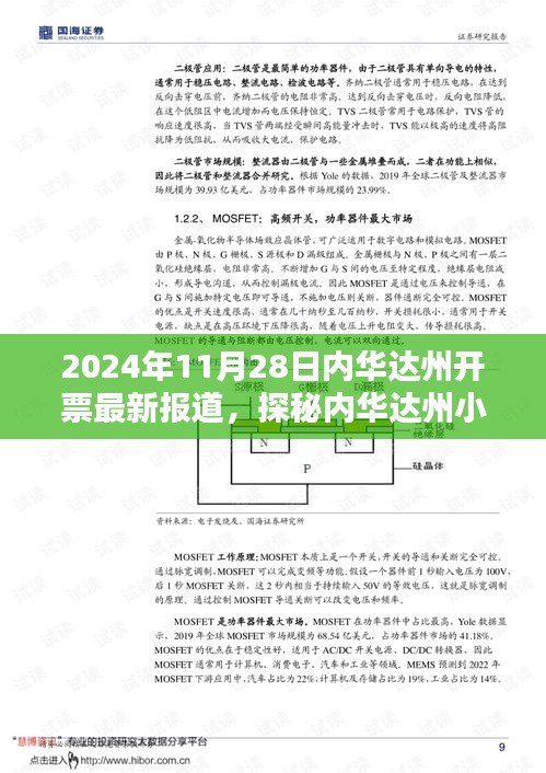 探秘内华达州隐藏瑰宝，最新开票报道下的独特风味小店揭秘（2024年11月28日）