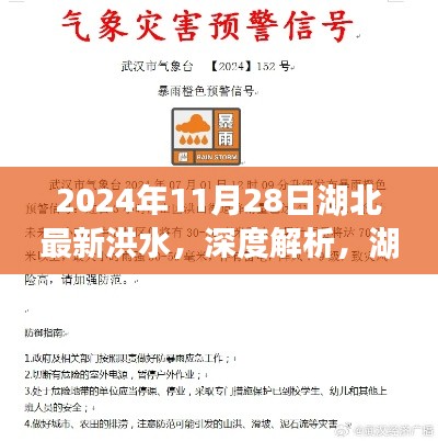湖北洪水深度解析，特性、预警系统、竞品对比及用户群体分析（2024年湖北最新洪水报道）