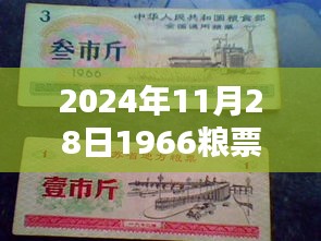 揭秘，2024年11月28日1966年粮票3市斤的最新市场价格