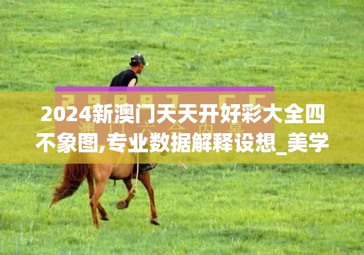 2024新澳门天天开好彩大全四不象图,专业数据解释设想_美学版JYV18.23