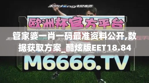 管家婆一肖一码最准资料公开,数据获取方案_酷炫版EET18.84